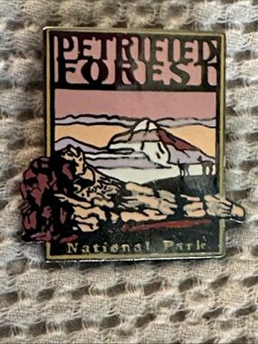 Petrified Forest National Park Pin